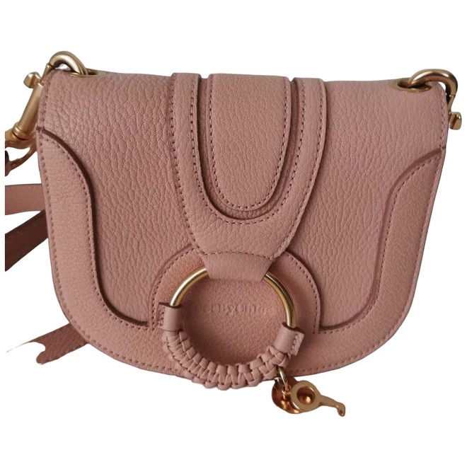 chloe coins bag