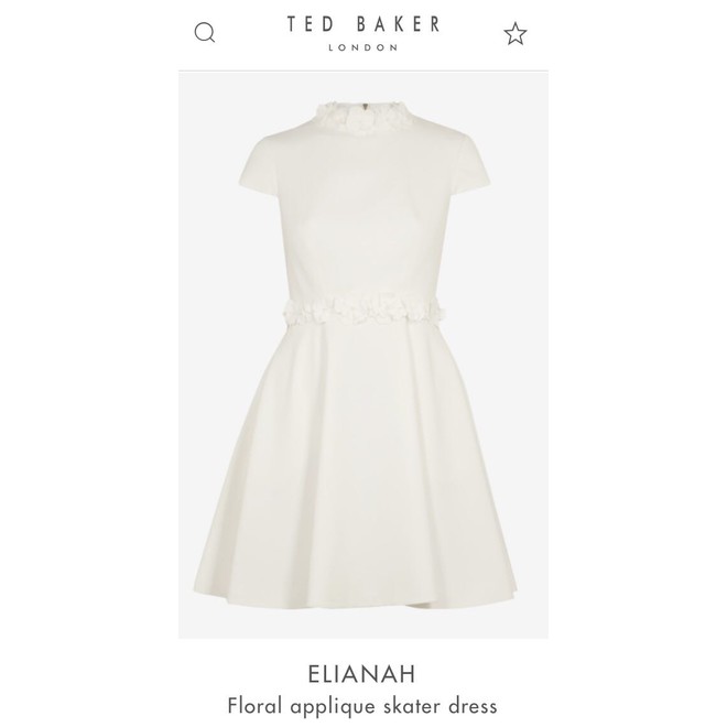 ted baker elianah dress