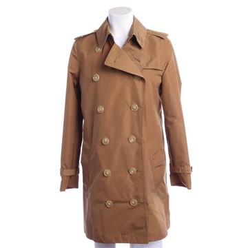 burberry rosa 427