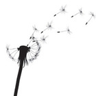 Dandelion Dresscode